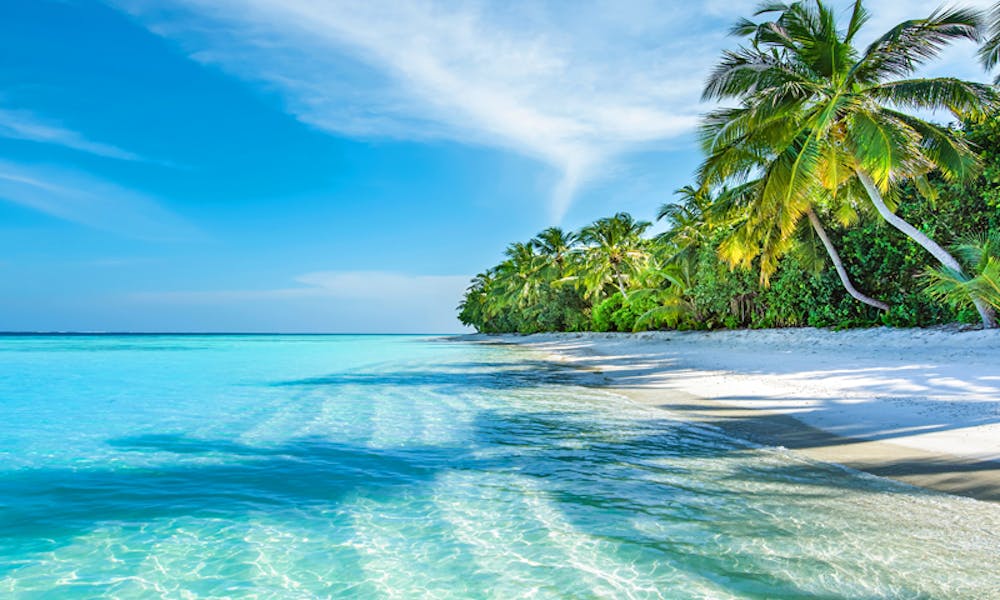 Best month to go to the Maldives Best month to go to the Maldives