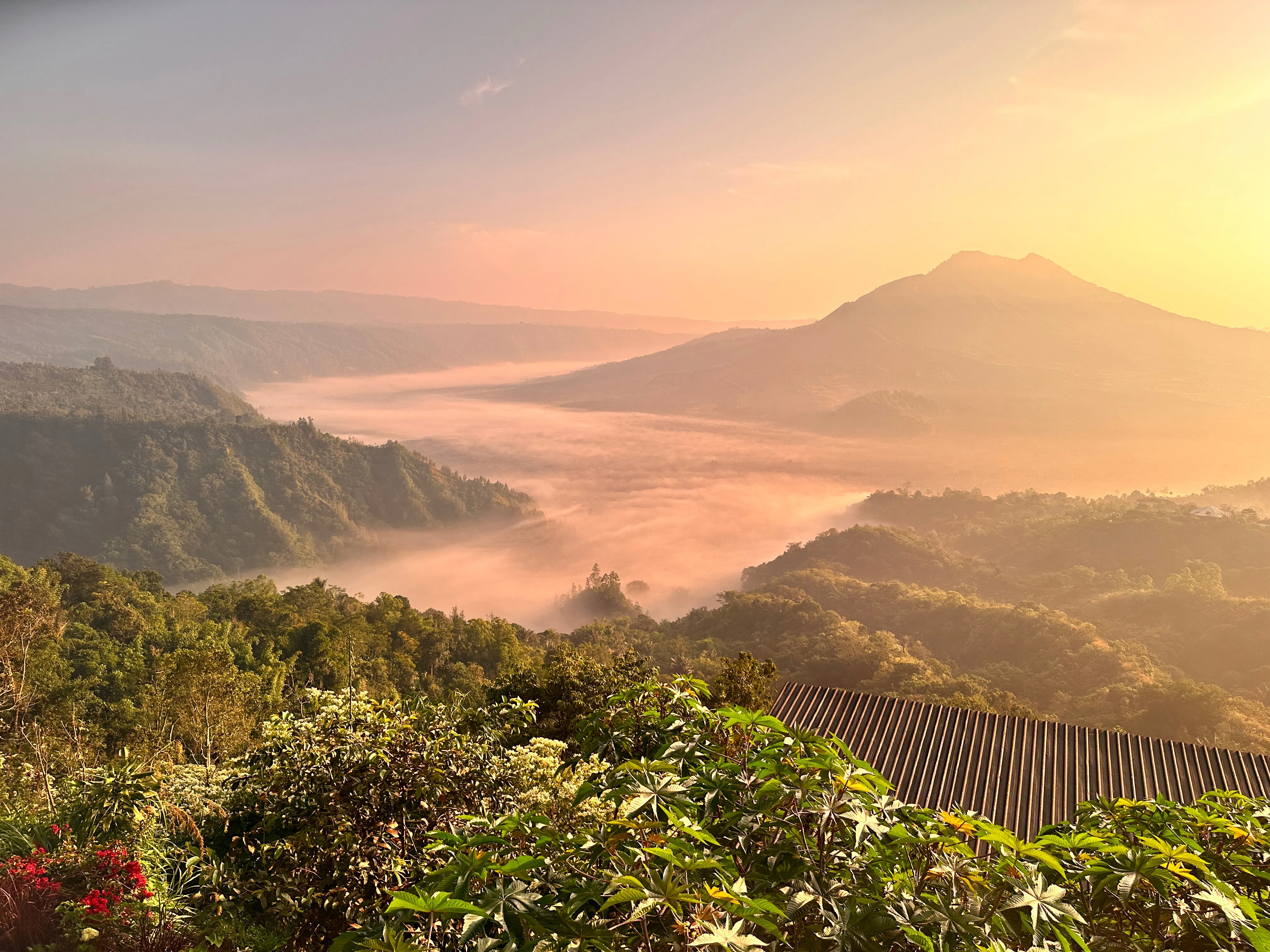 Best things to do in Bali