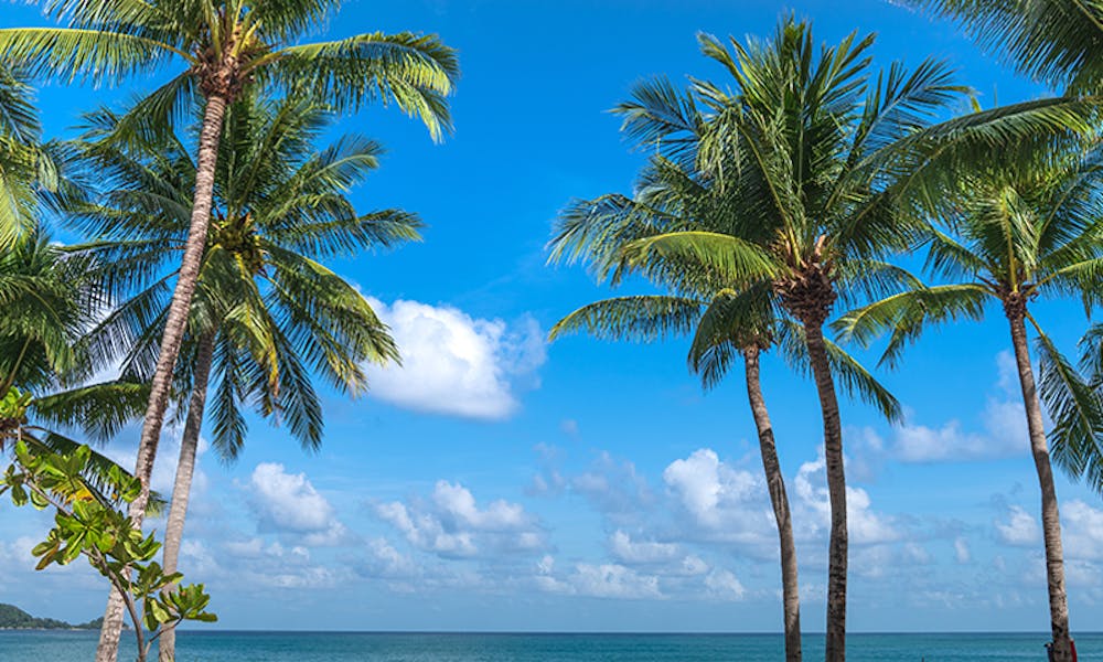 patong beach patong beach