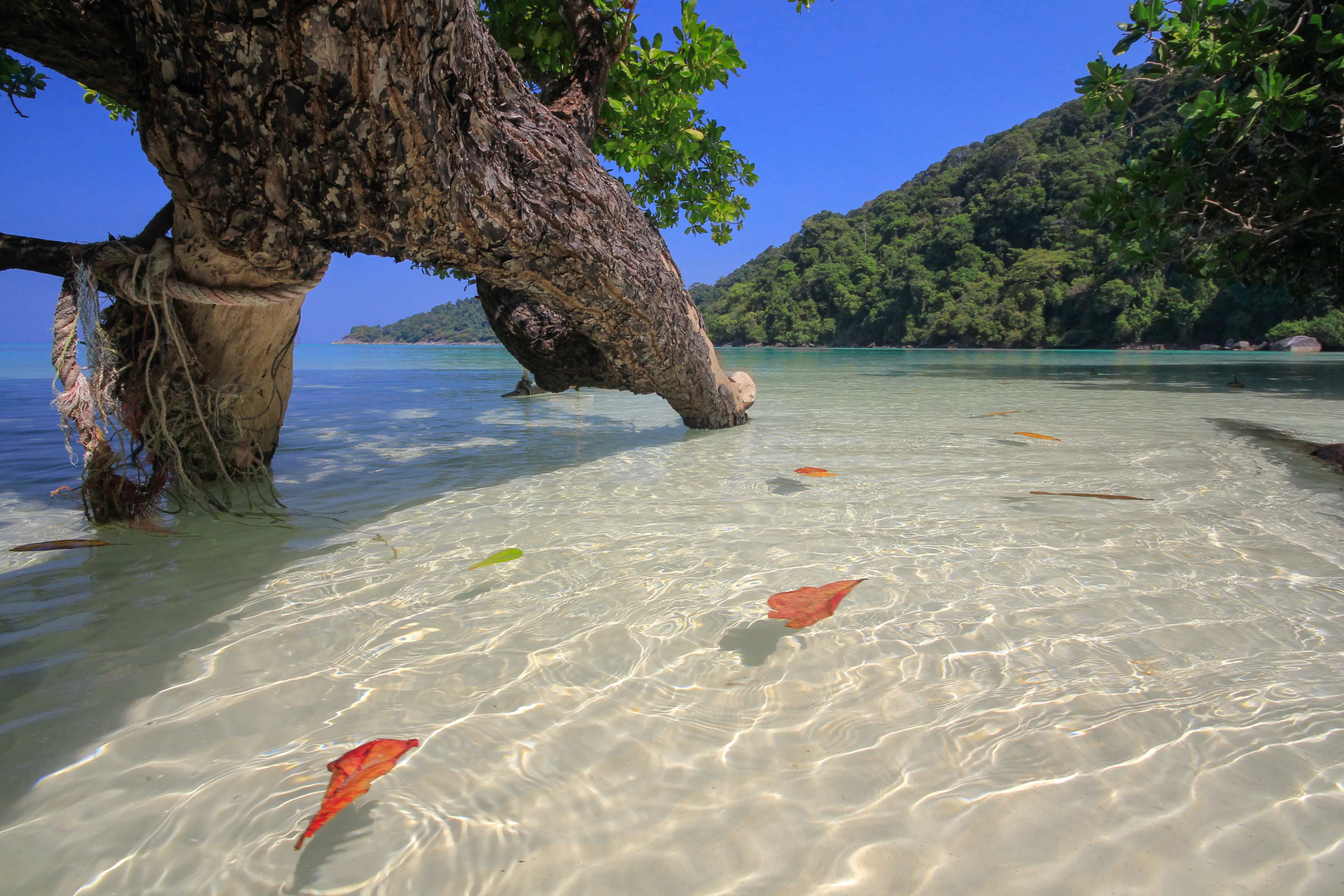 surin islands