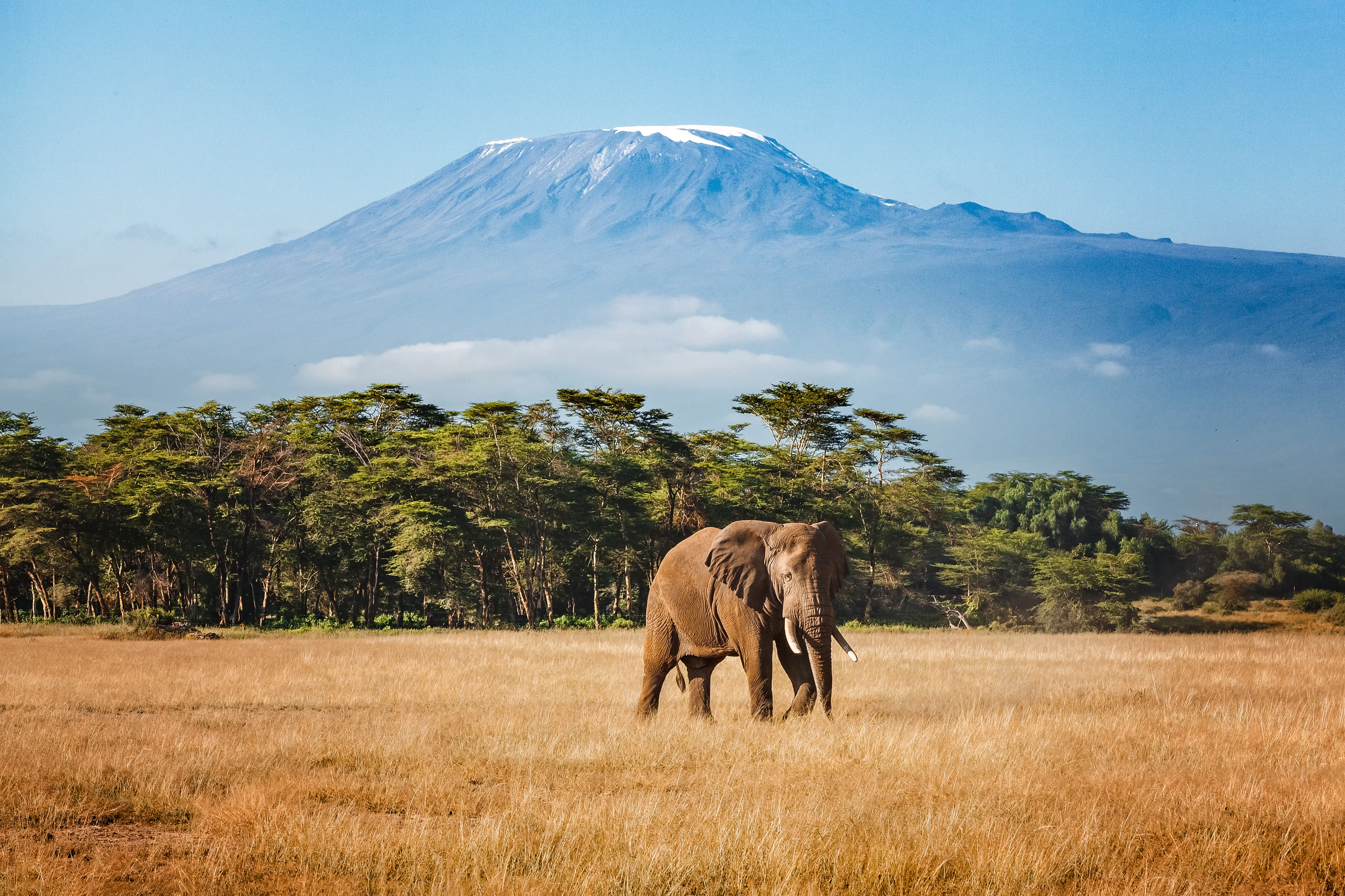 Tanzania