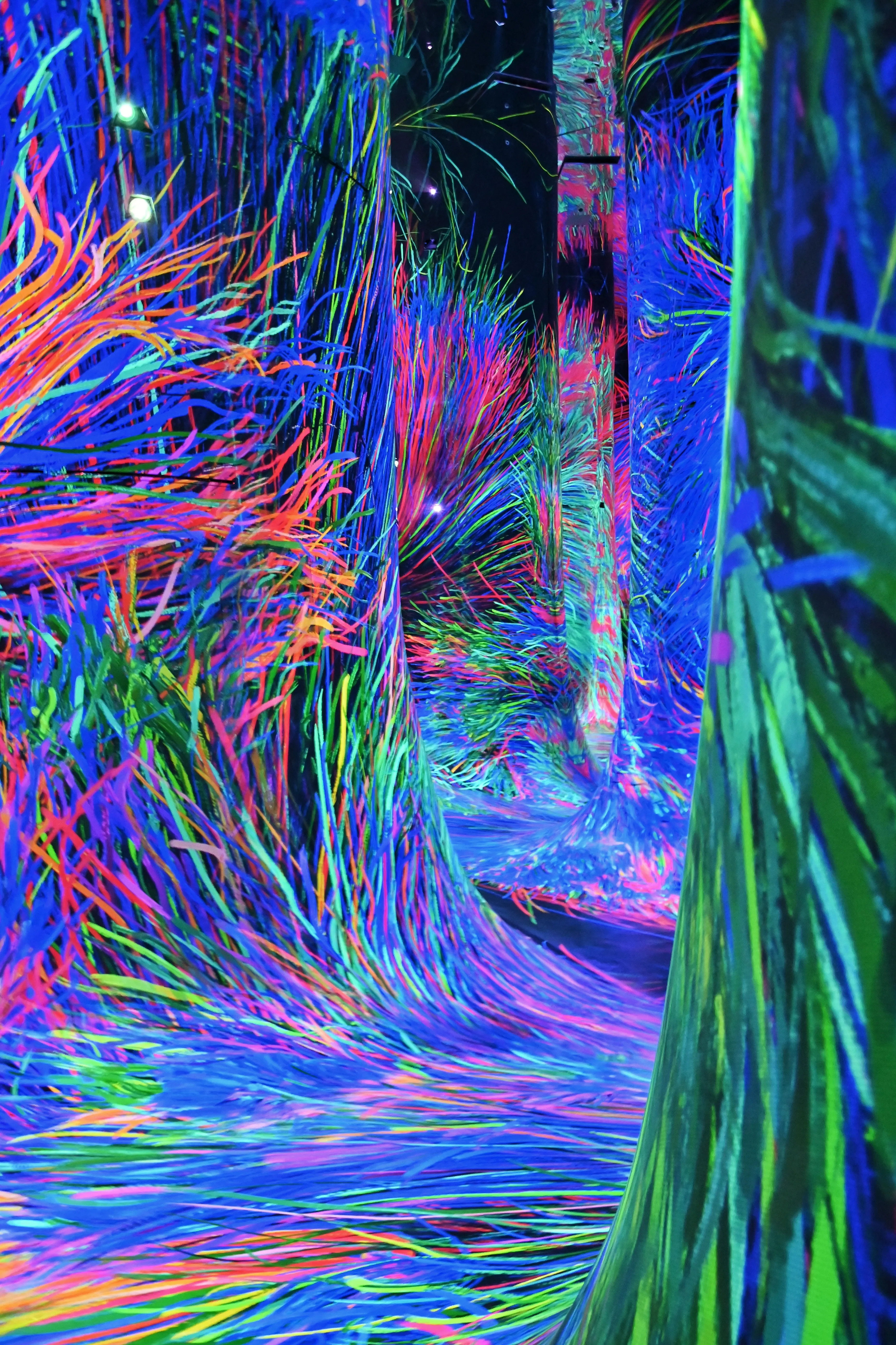 teamLab Phenomena Abu Dhabi