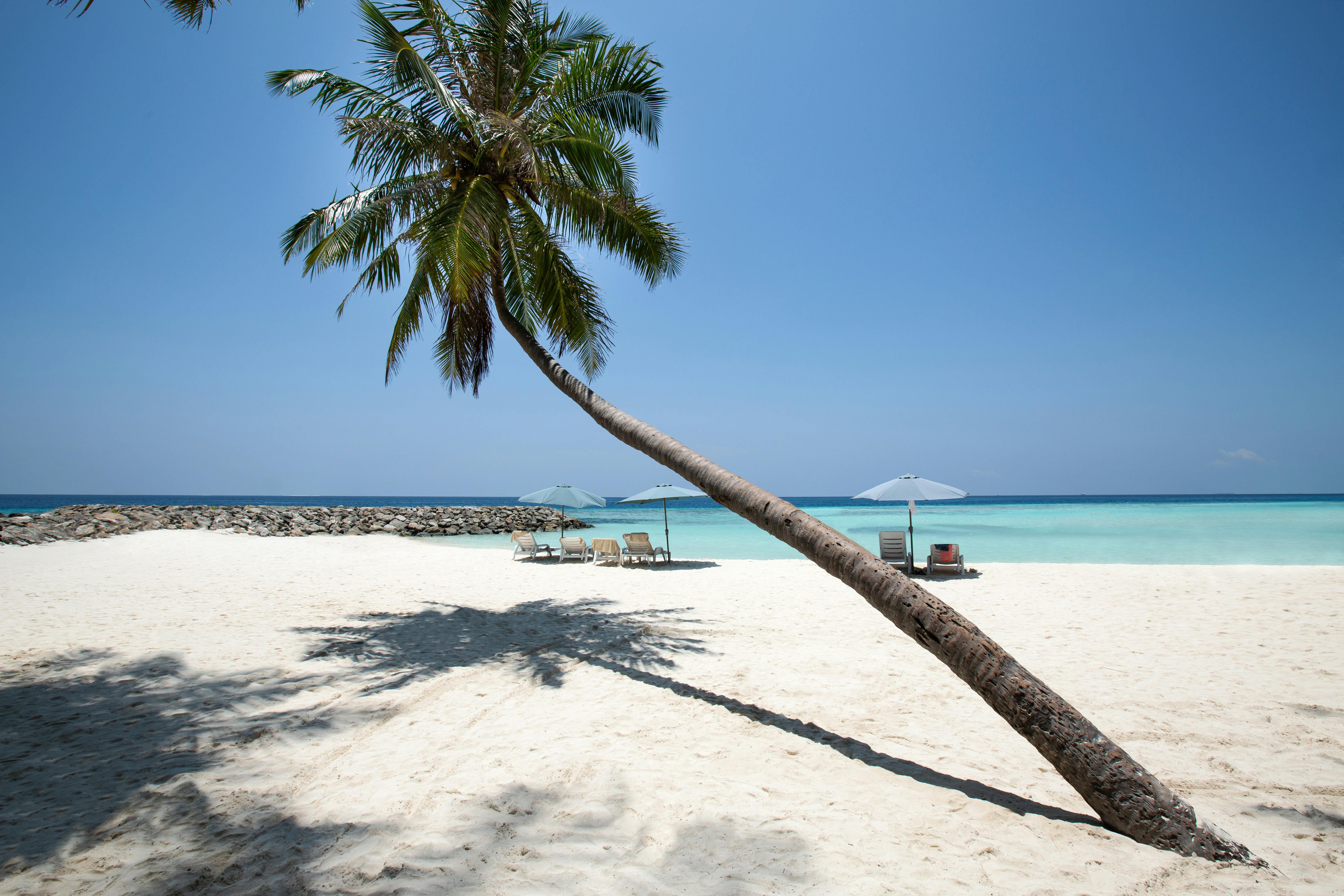The best local island beaches in the Maldives