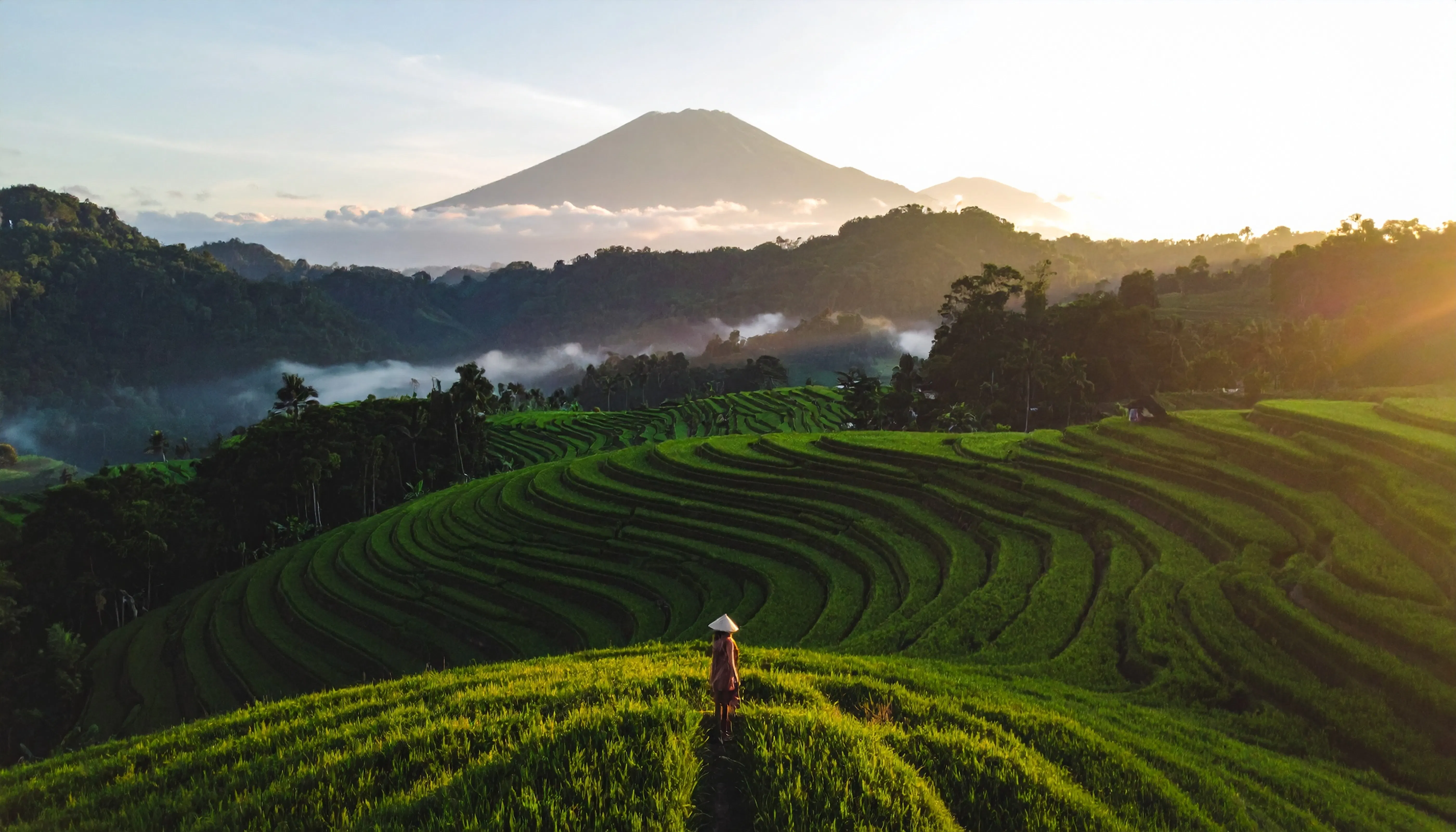visiting Bali's rice fields
