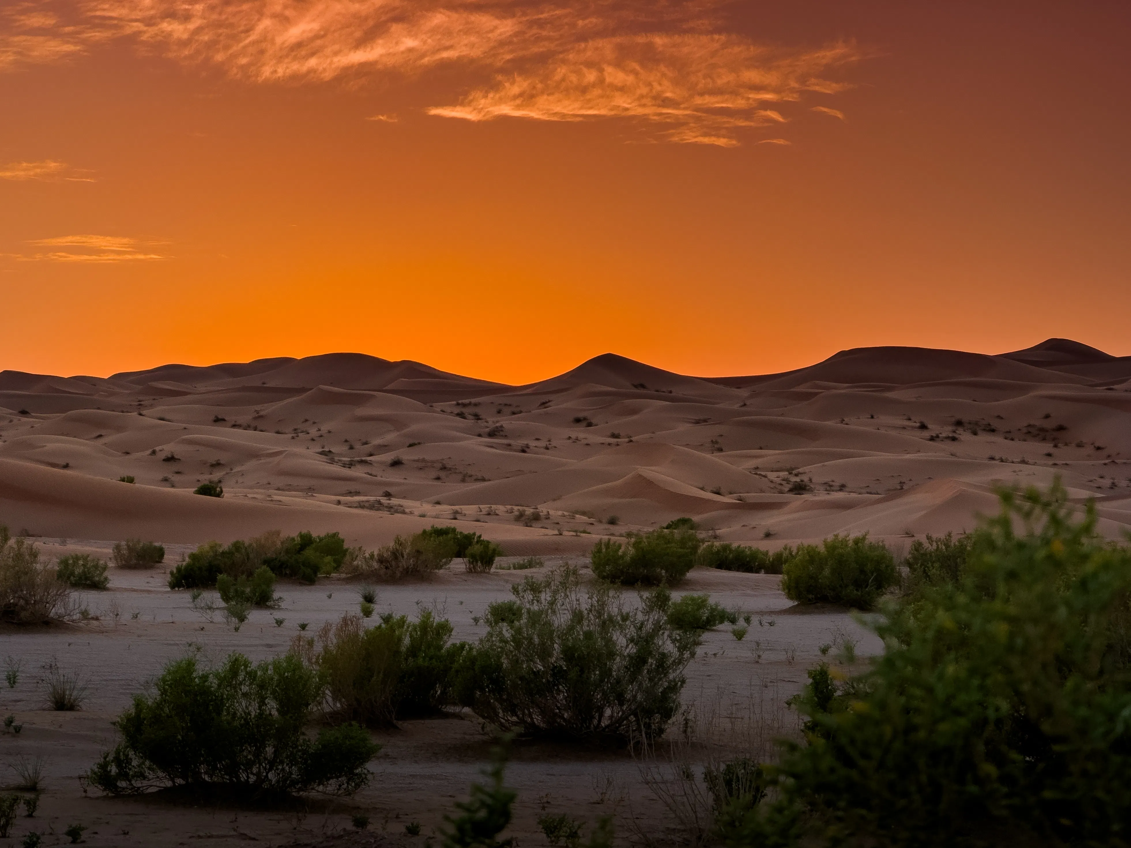 Watch the sunset over the desert on a private safari