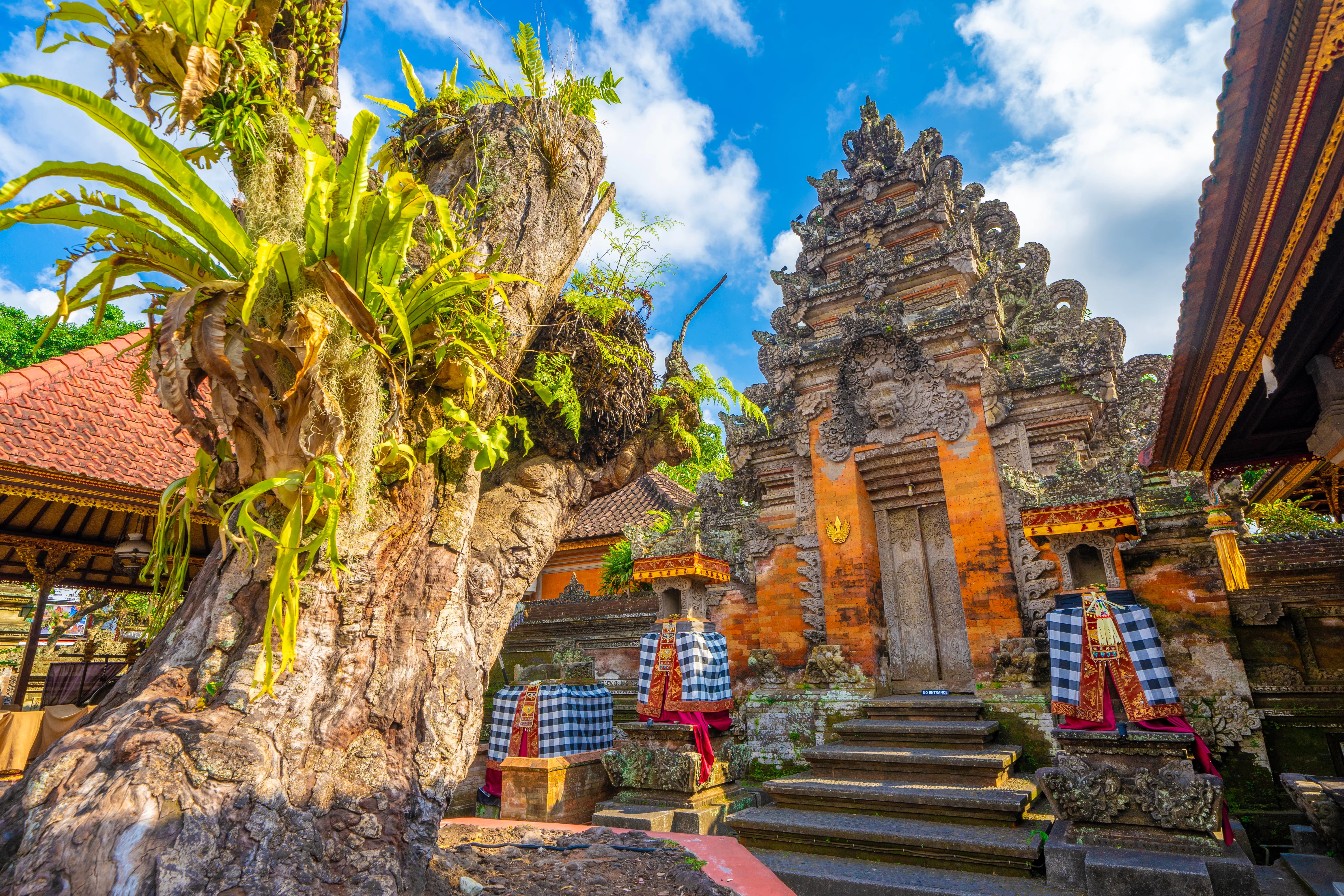 What to pack for a day of sightseeing in Bali