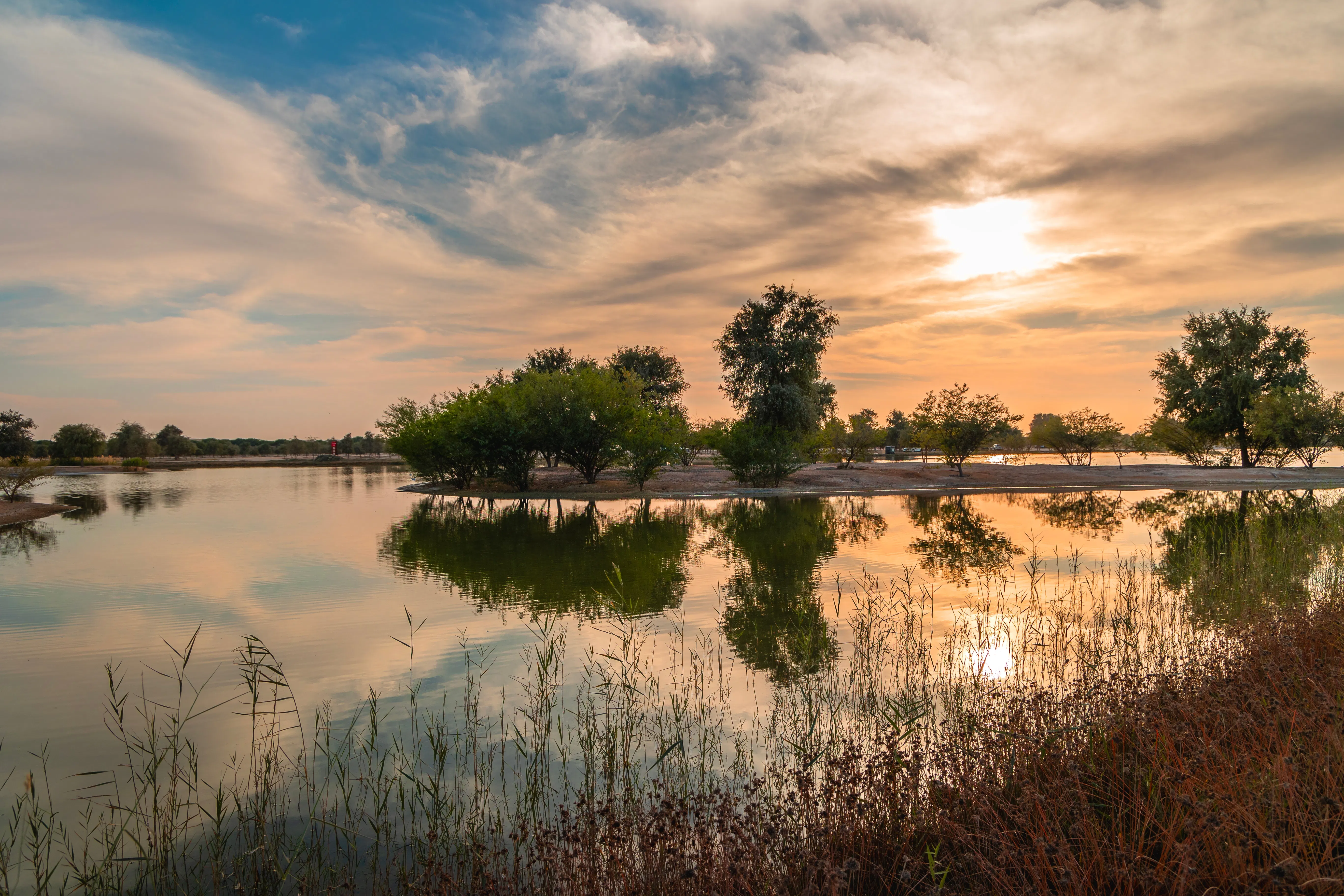Where to see Dubai's wildlife