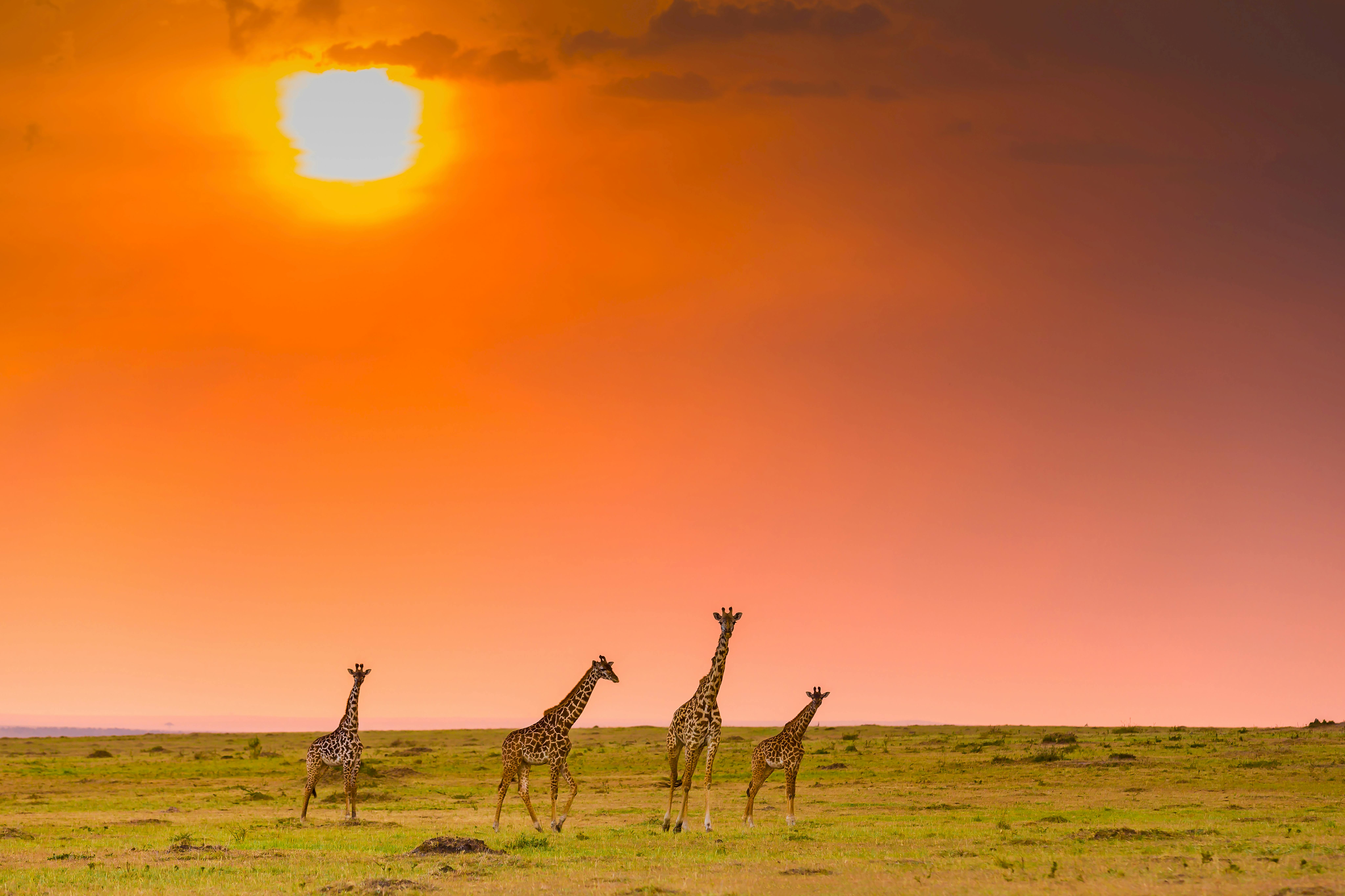 Kenya Tourism