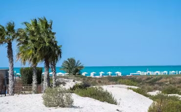 Saadiyat Beach