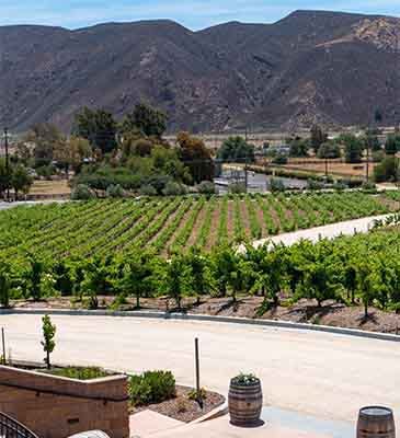 California Wine Country