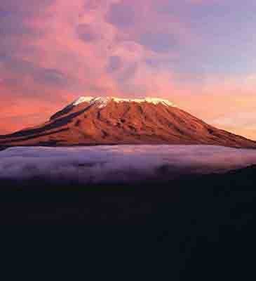 Kilimanjaro