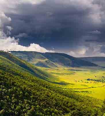 Ngorongoro Crater