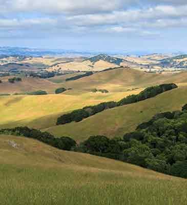 Sonoma County